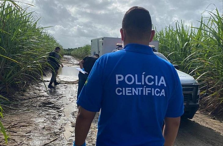 Ossada humana é encontrada por trabalhadores em canavial na zona rural