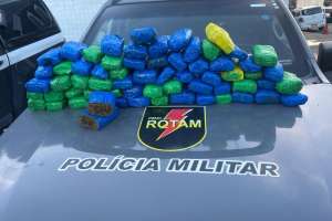 Rotam apreende quase 40kg de maconha em terreno baldio na Cidade Universitária | Ascom PMAL