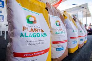Secretaria de Agricultura abre inscrições para o Planta Alagoas 2024 | Pei Fon/Agência Alagoas