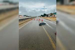 Caminheiro desce de veÃculo e morre atropelado por moto na BR-101 | Reprodução