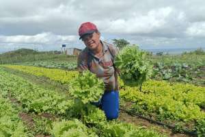 Programa do Governo de AL irá beneficiar milhares de agricultores familiares | Divulgação