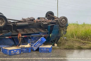 Caminhão carregado com galinhas vivas tomba na AL-110, em Arapiraca | Reprodução