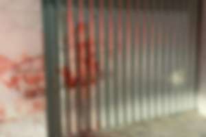 Filha de 4 anos presencia mãe sendo morta a tiros dentro de casa; pai ficou ferido | Reprodução