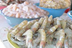 Atenção redobrada no momento de escolher o pescado para a Páscoa | Divulgação Assessoria