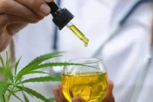 Casal de SC poderá plantar maconha em casa para tratar filho autista | Reprodução