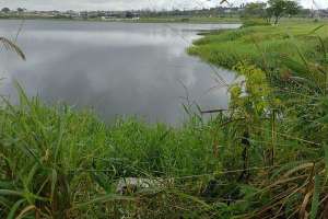Corpo encontrado em lago pode ser da mesma pessoa que teve braços arrancados, em Arapiraca | Josival Menezes