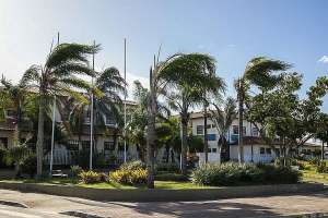 Alerta de vendaval é emitido para 12 municÃpios de Alagoas |  Divulgação